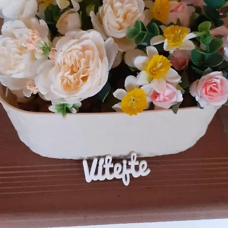 Ubytování v soukromí U Markýzy *