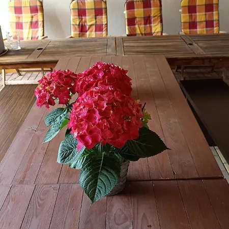Habitación en casa particular U Markyzy Lednice