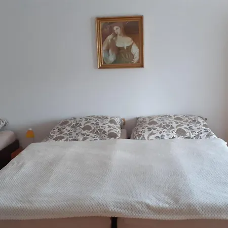 Habitación en casa particular U Markyzy *